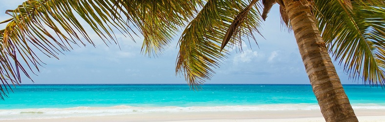 Top Destinations to Chase the Winter Blues